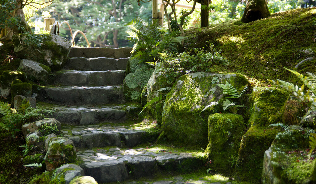 Mystische Naturstein Treppe