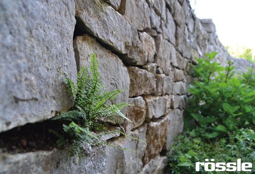 Mauer aus Muschelkalk-Mauersteinen in Detailaufnahme